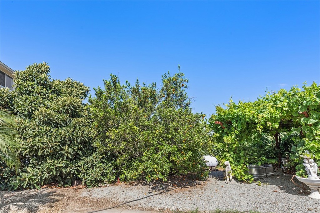 23505 Carancho Road Property Photo 62