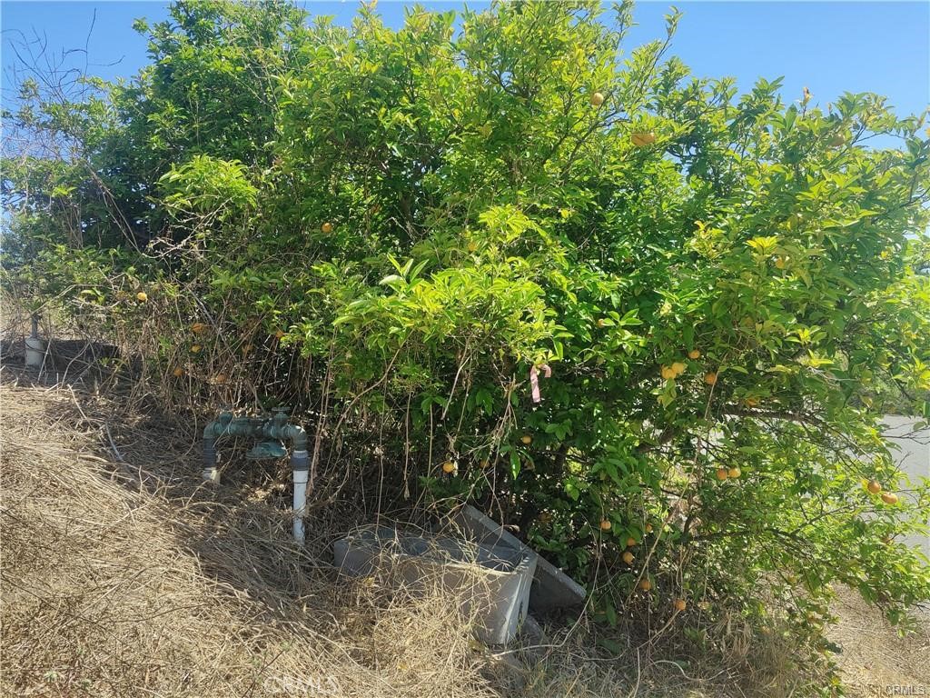 0 Indian View Drive Property Photo 12