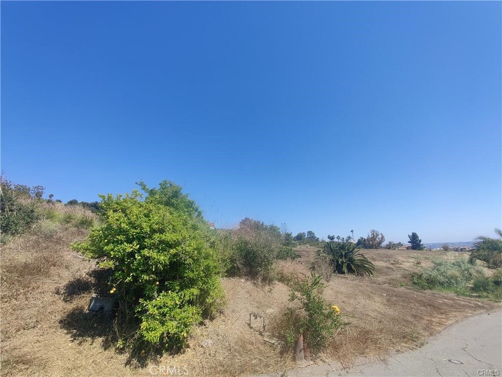 0 Indian View Drive Property Photo 13