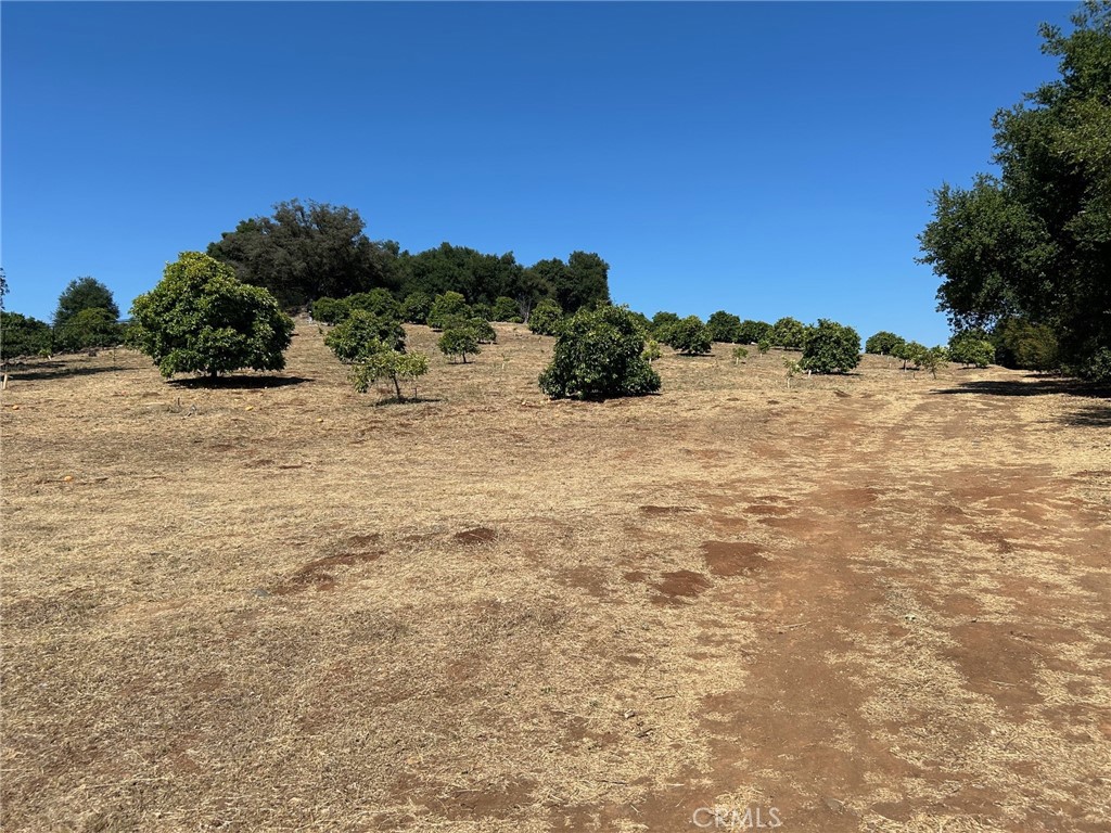 15 Camino Estribo Property Photo 2