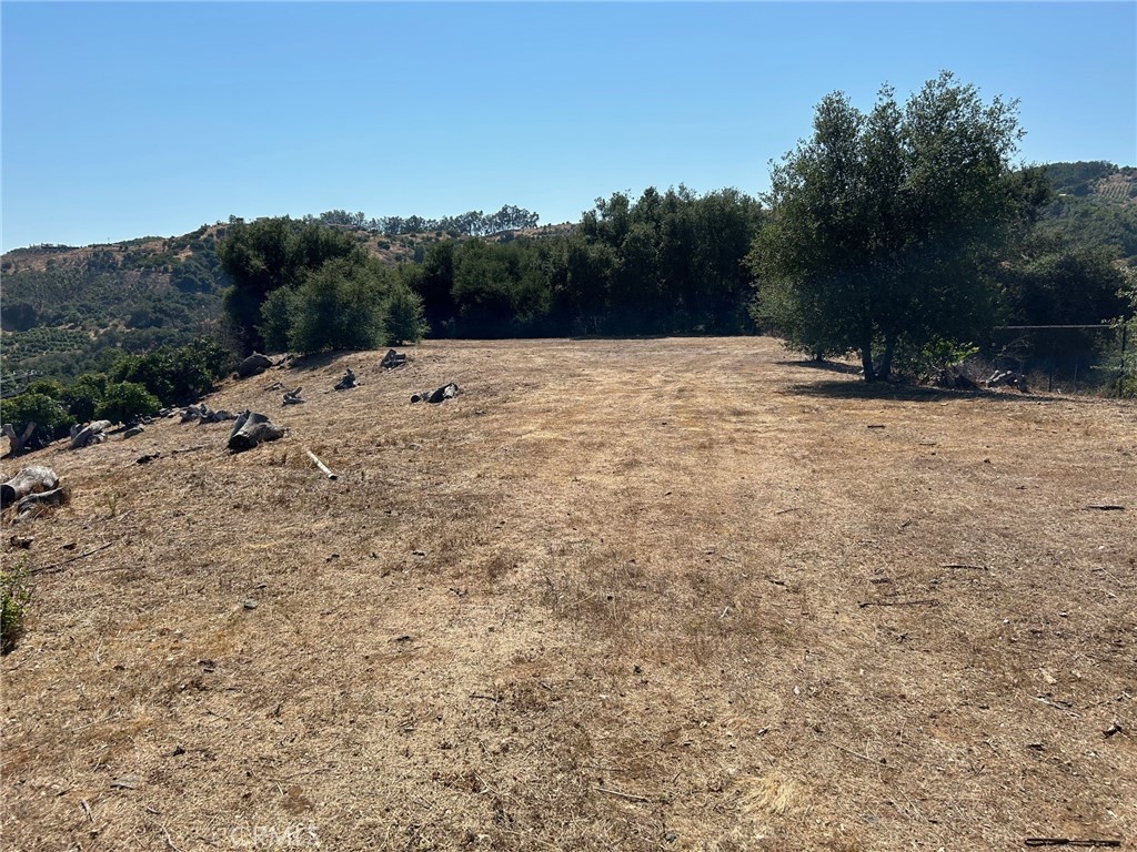 15 Camino Estribo Property Photo 4