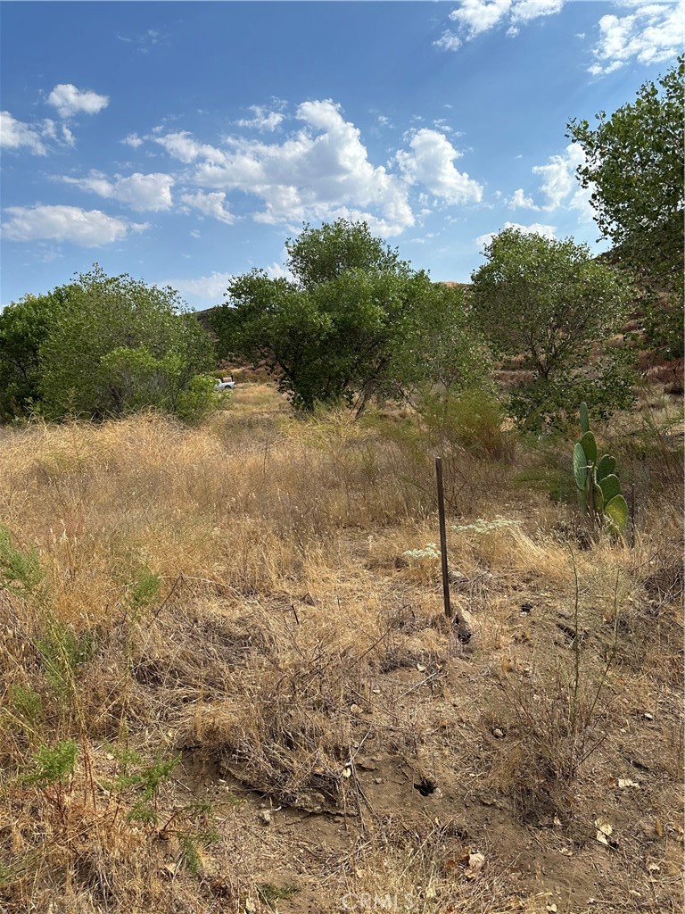 0 Los Altos Property Photo 4