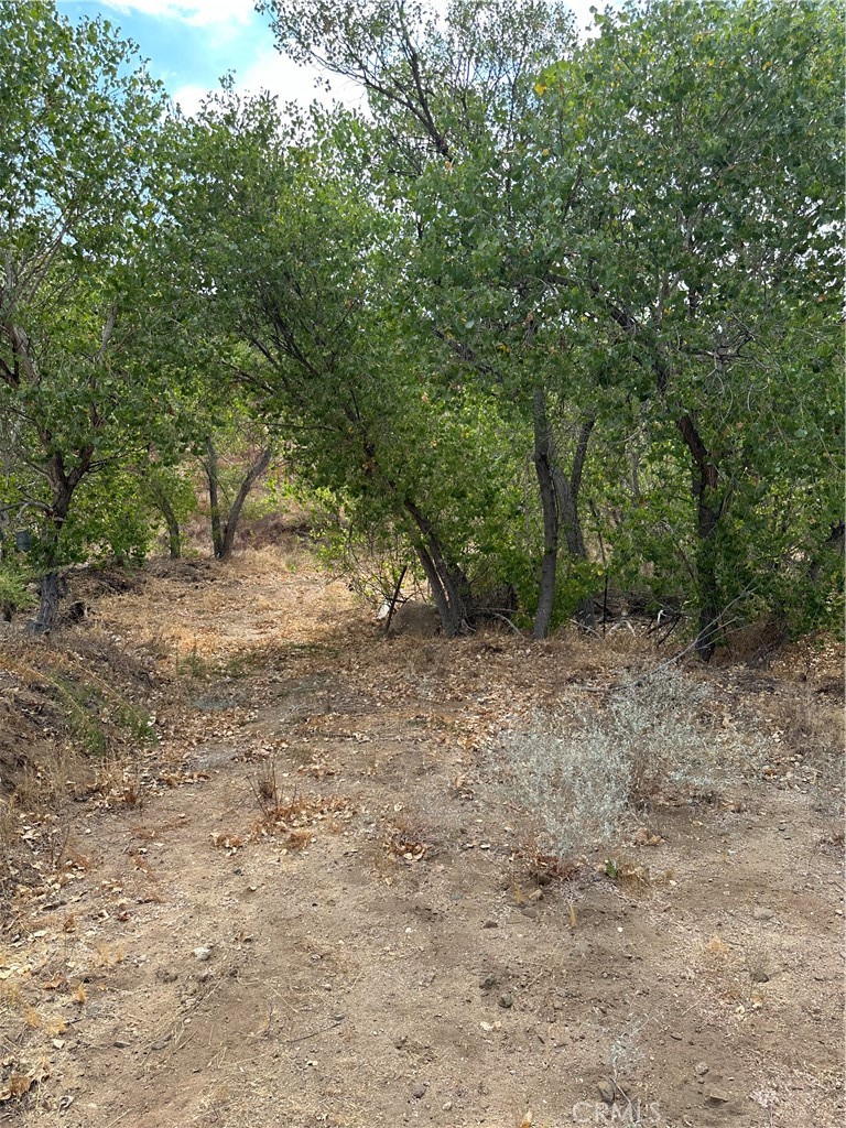 0 Los Altos Property Photo 5