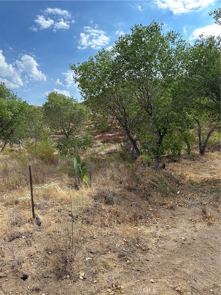 0 Los Altos Property Photo 6