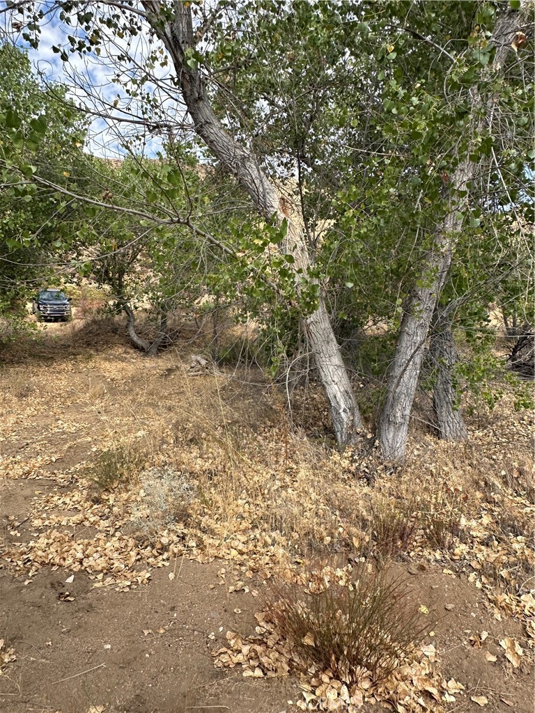 0 Los Altos Property Photo 7