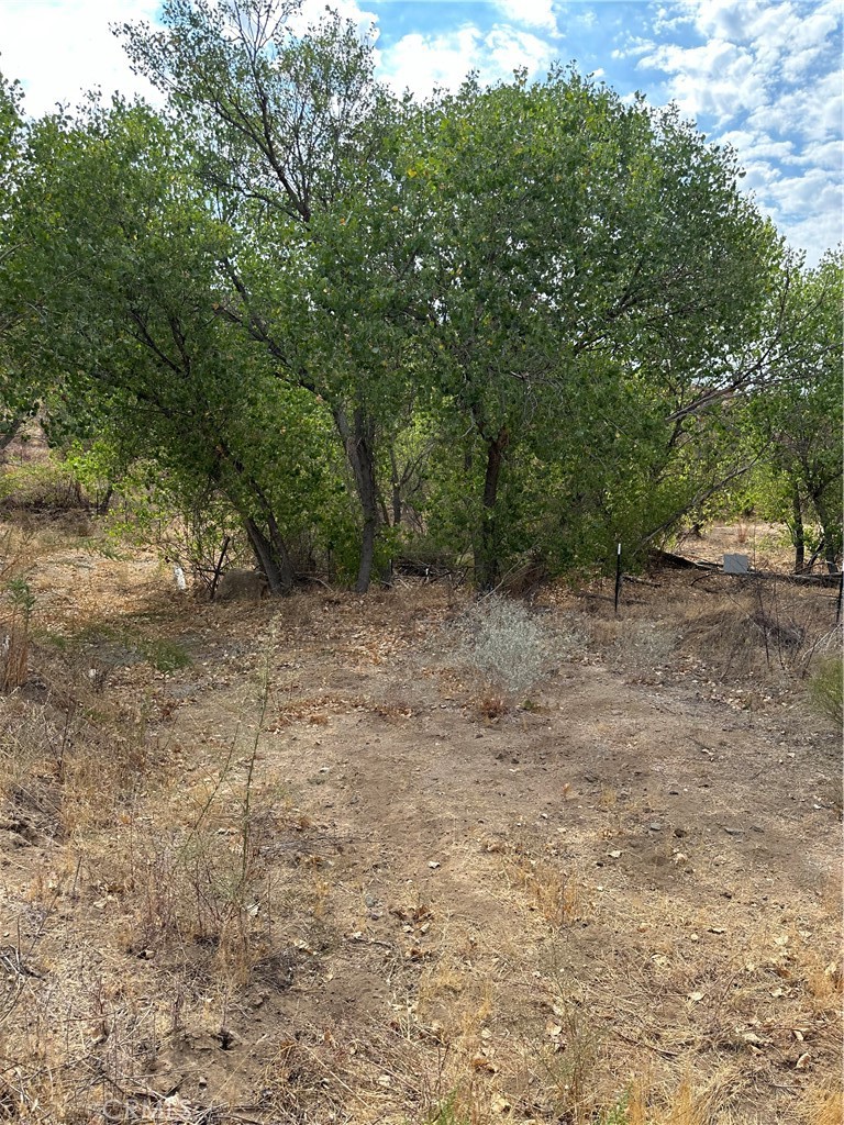 0 Los Altos Property Photo 9