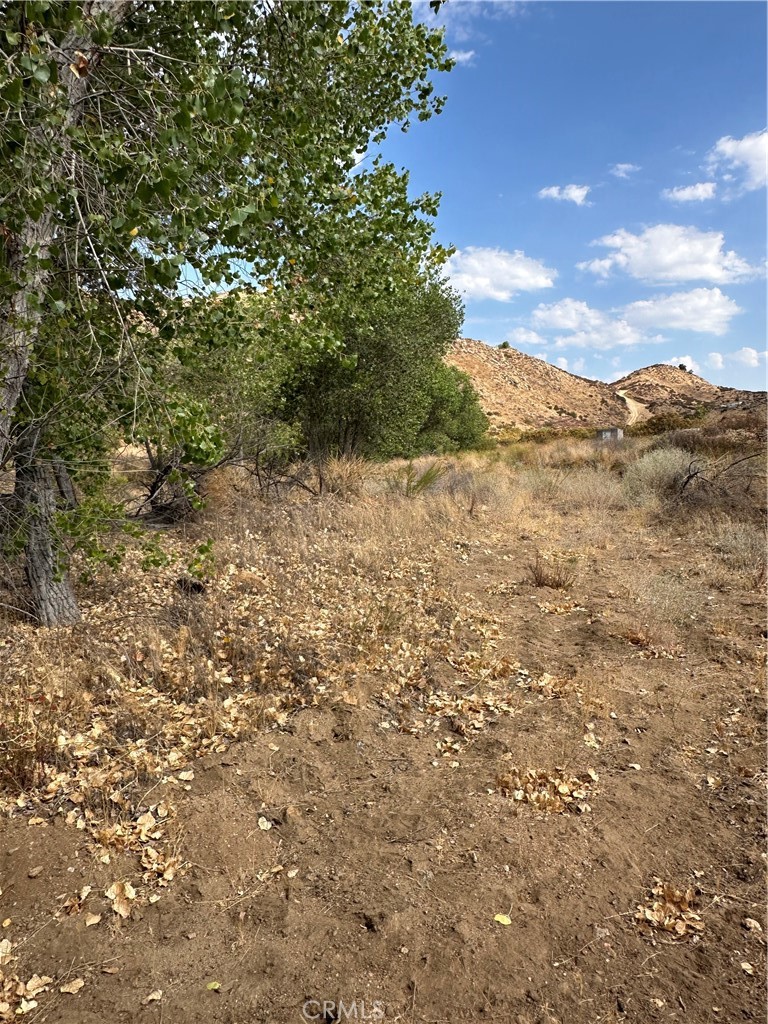 0 Los Altos Property Photo 11