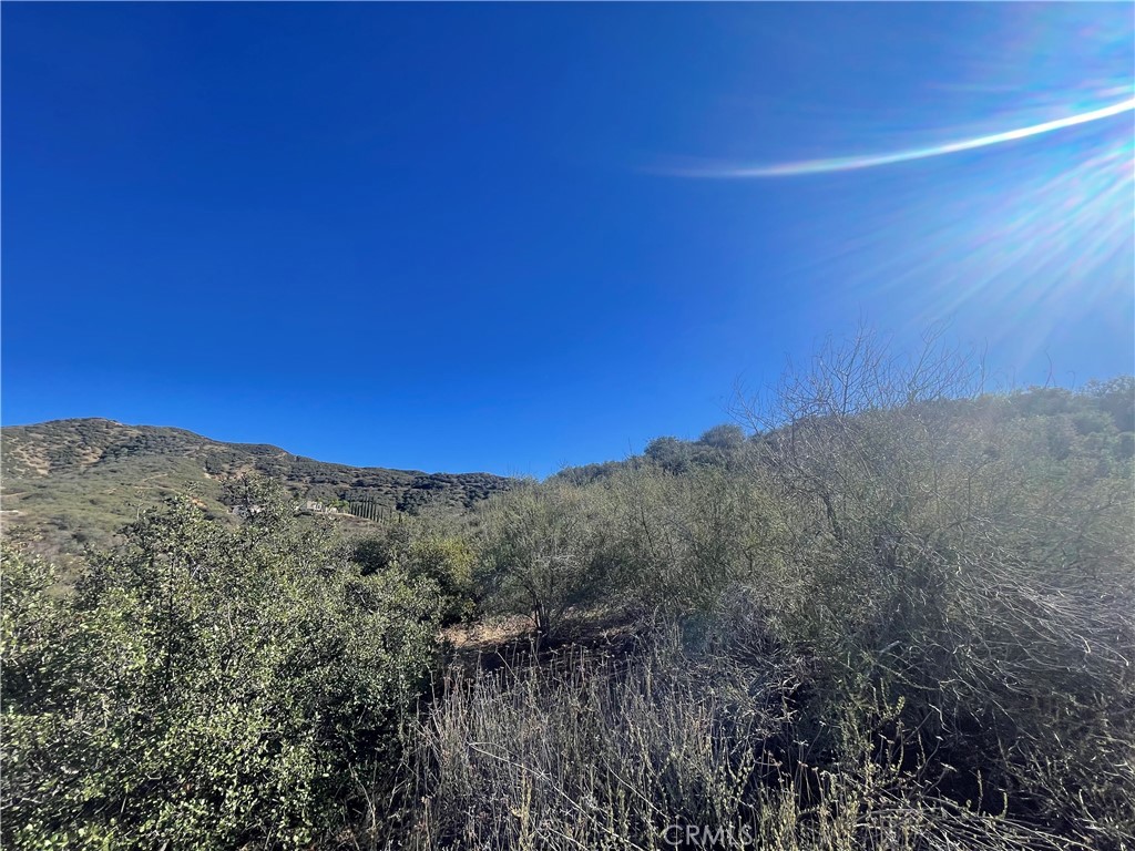 0 Pendleton Road Property Photo 2