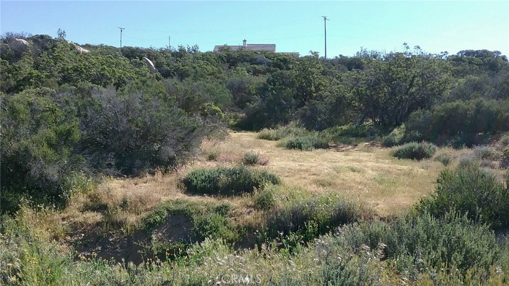 0 Lake Canyon Drive Property Photo 1
