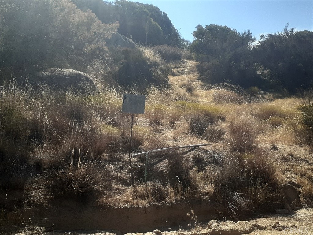 0 Lake Canyon Drive Property Photo 4