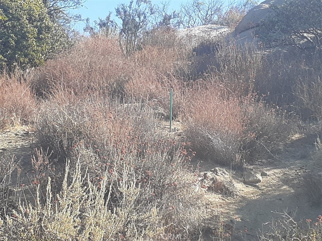 0 Lake Canyon Drive Property Photo 5