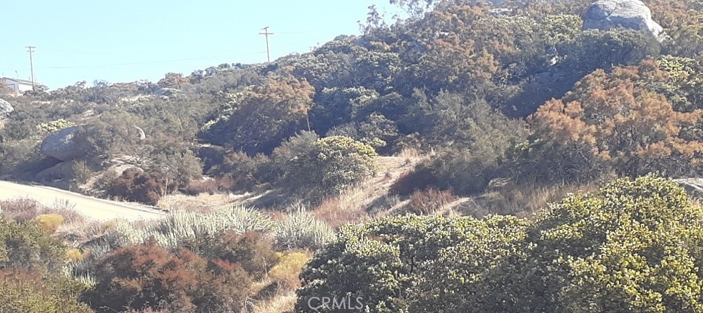 0 Lake Canyon Drive Property Photo 9