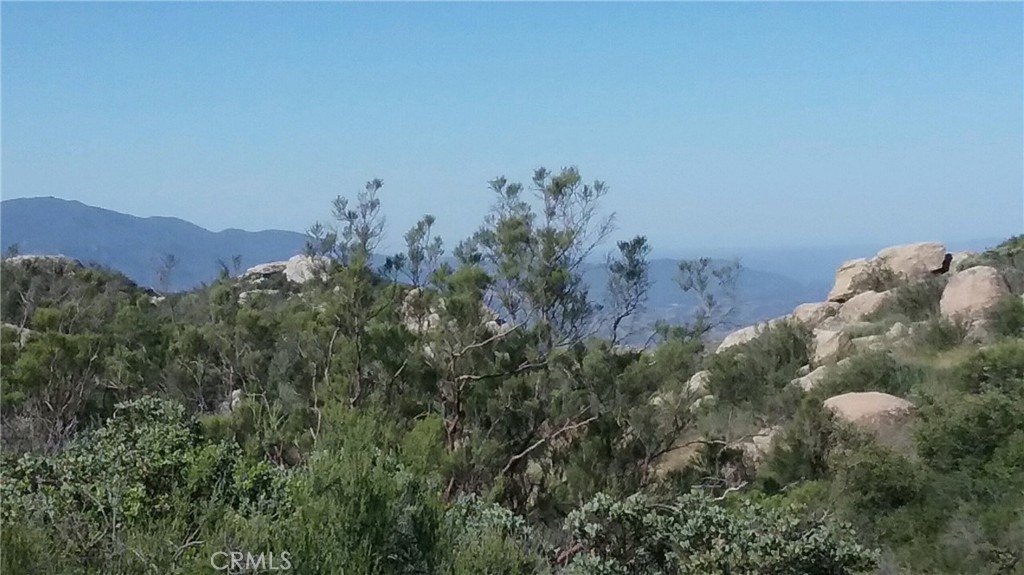 0 Lake Canyon Drive Property Photo 11