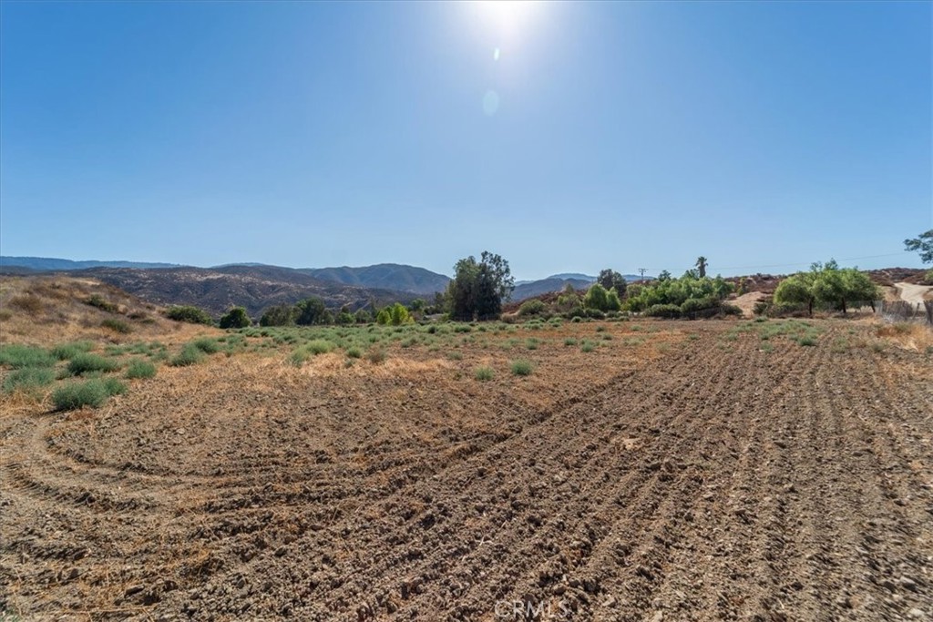 43900 Highway 79 Property Photo 4