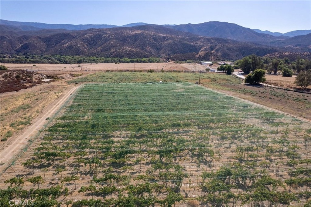 43900 Highway 79 Property Photo 8