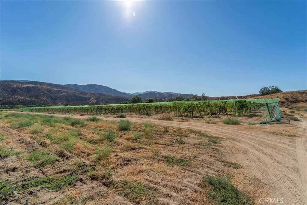 43900 Highway 79 Property Photo 17
