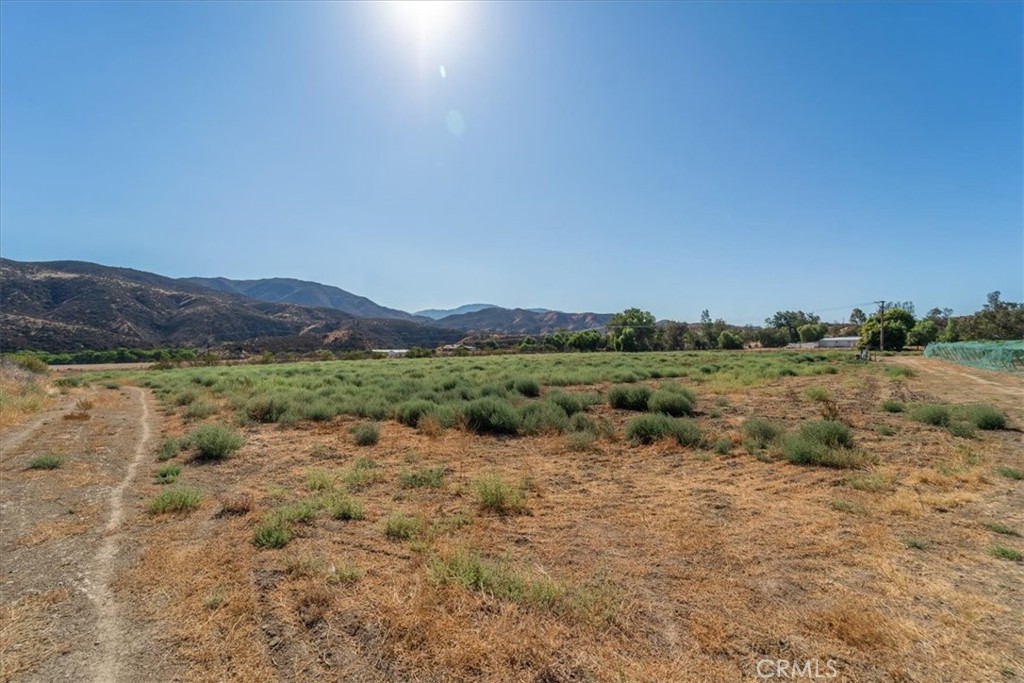 43900 Highway 79 Property Photo 30