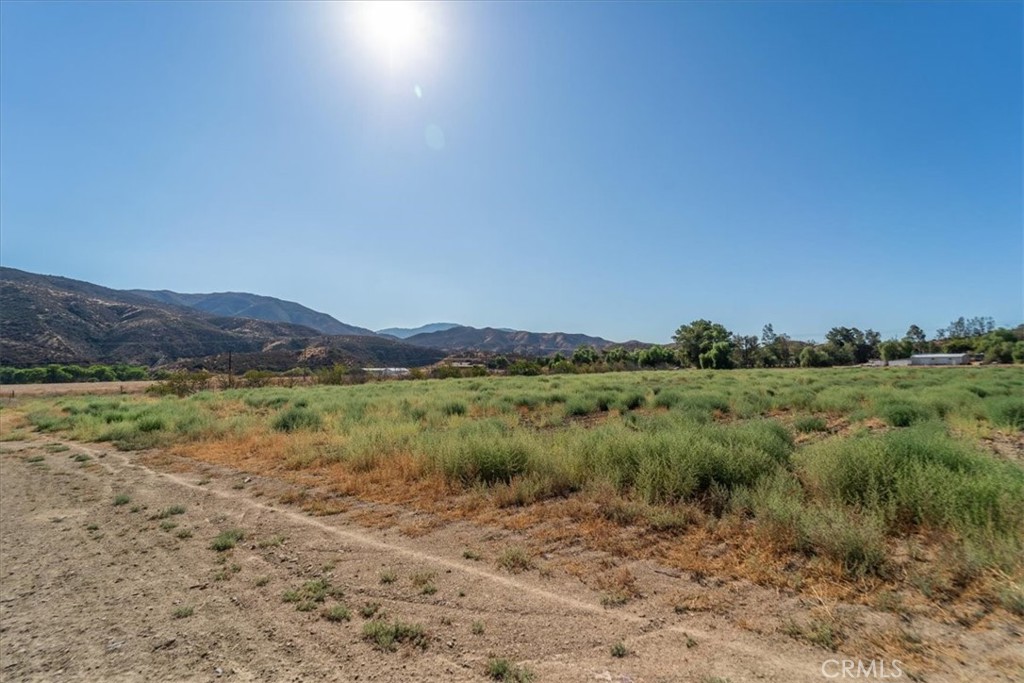 43900 Highway 79 Property Photo 33