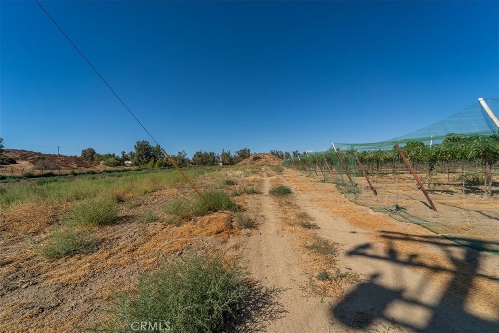 43900 Highway 79 Property Photo 35