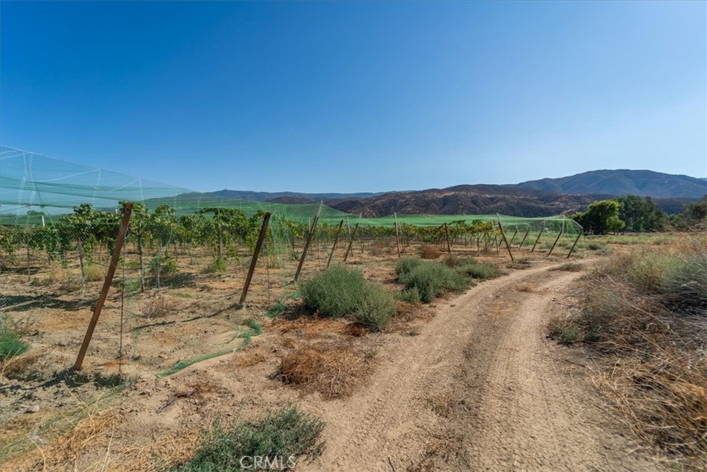 43900 Highway 79 Property Photo 37