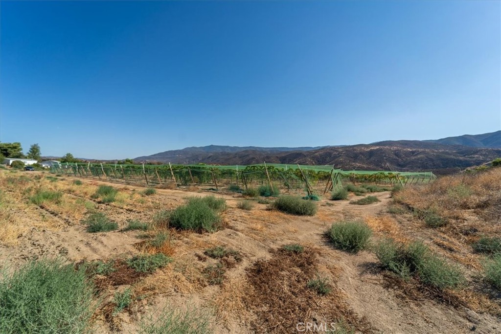 43900 Highway 79 Property Photo 39