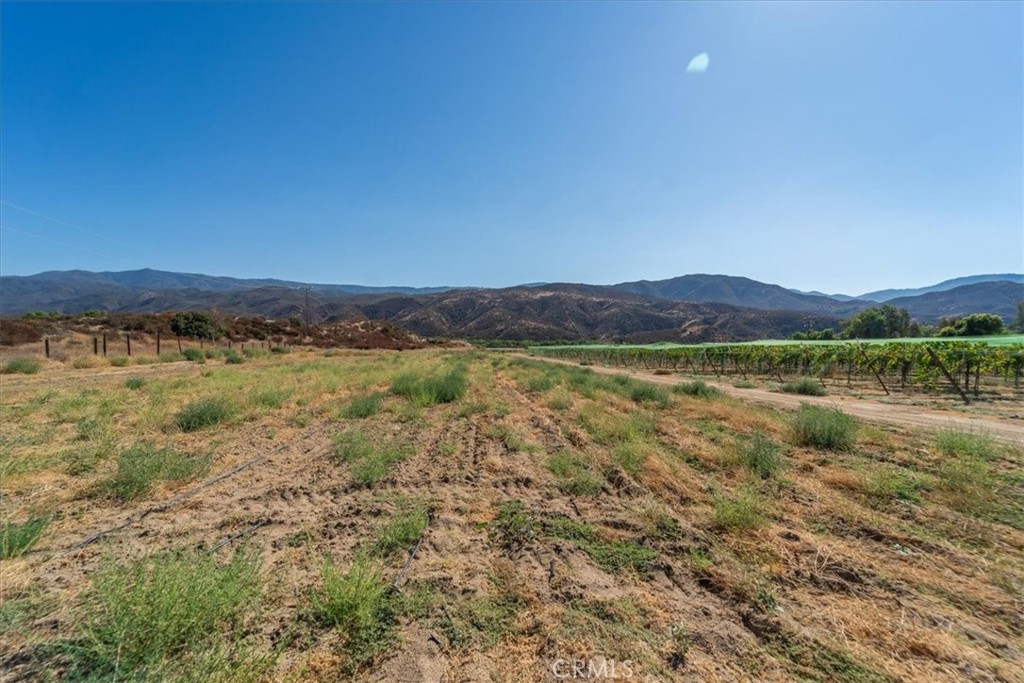 43900 Highway 79 Property Photo 51