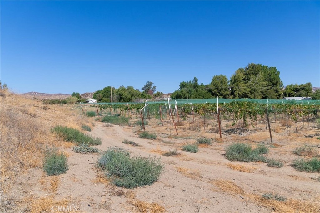 43900 Highway 79 Property Photo 62
