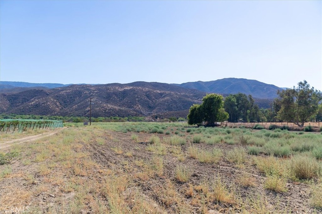 43900 Highway 79 Property Photo 64