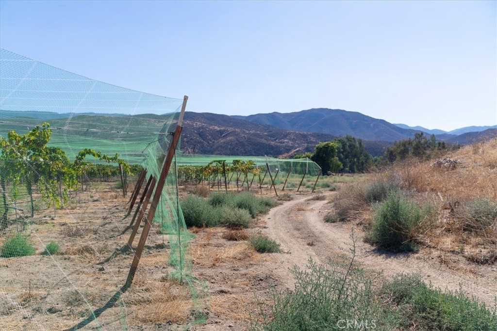 43900 Highway 79 Property Photo 67