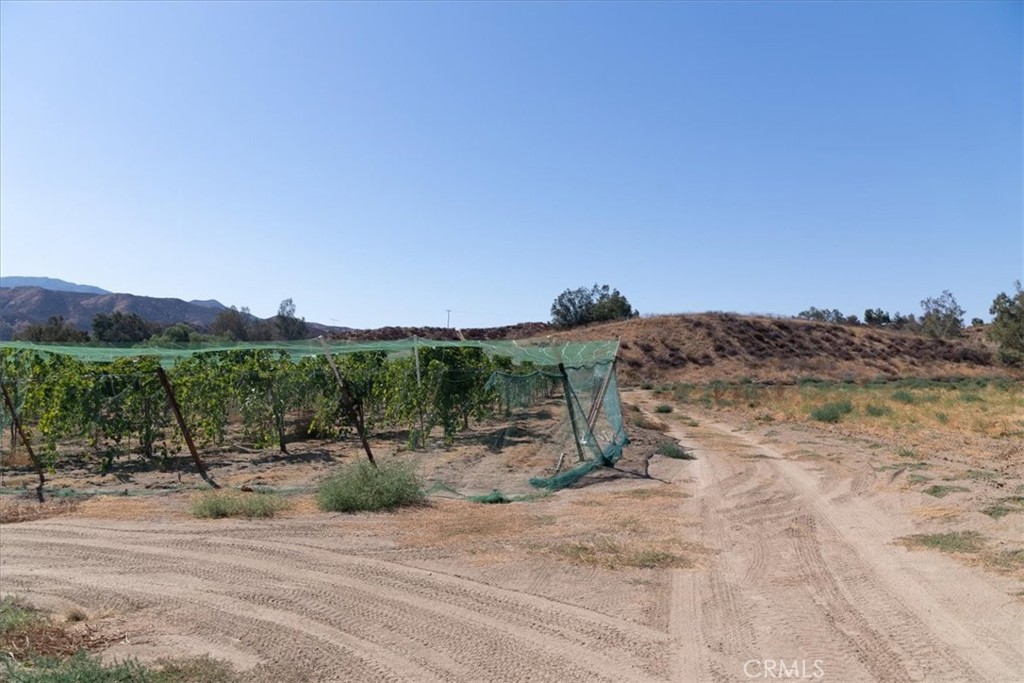 43900 Highway 79 Property Photo 72