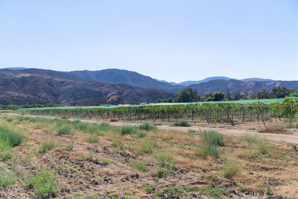 43900 Highway 79 Property Photo 73