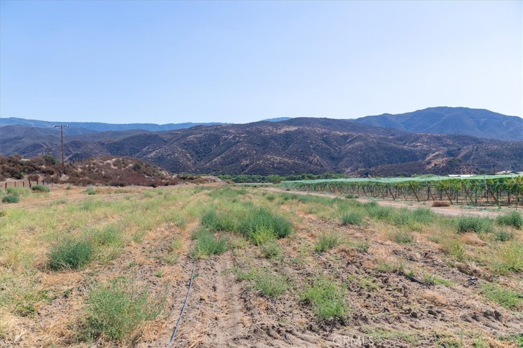 43900 Highway 79 Property Photo 74