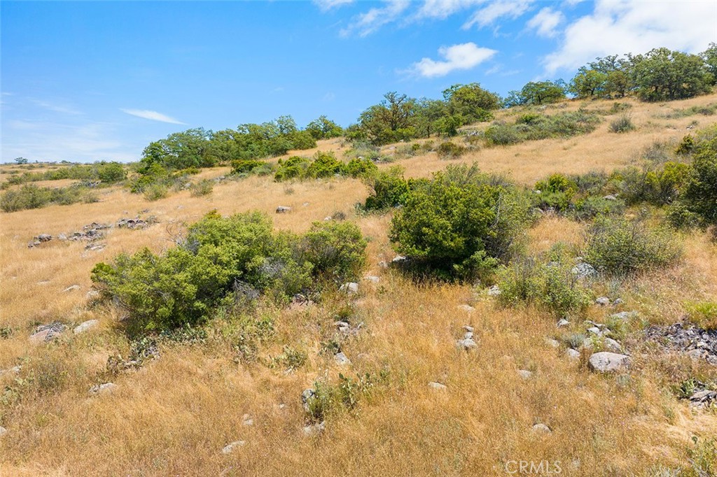 45 Calle De Mucho Property Photo 15