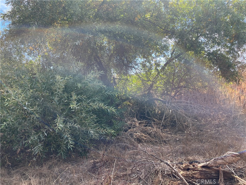 0 Menifee Road Property Photo 2