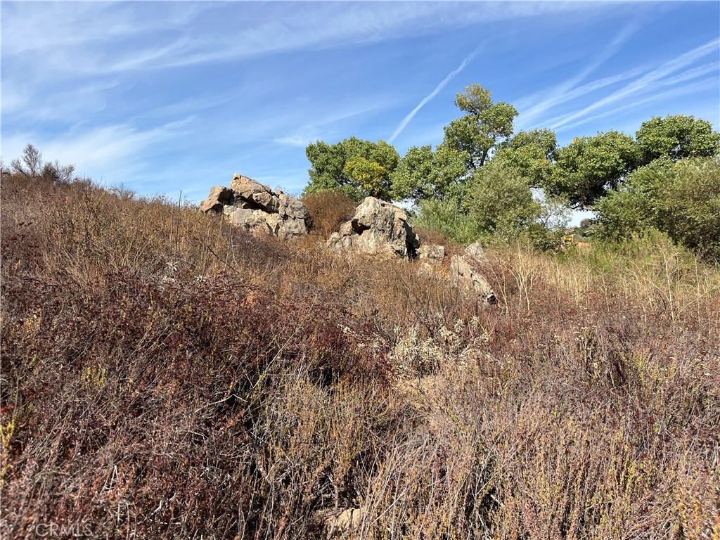 0 Menifee Road Property Photo 12