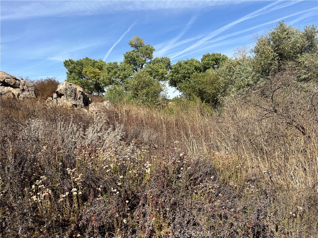 0 Menifee Road Property Photo 16