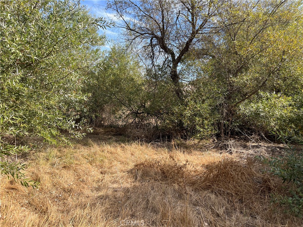 0 Menifee Road Property Photo 19
