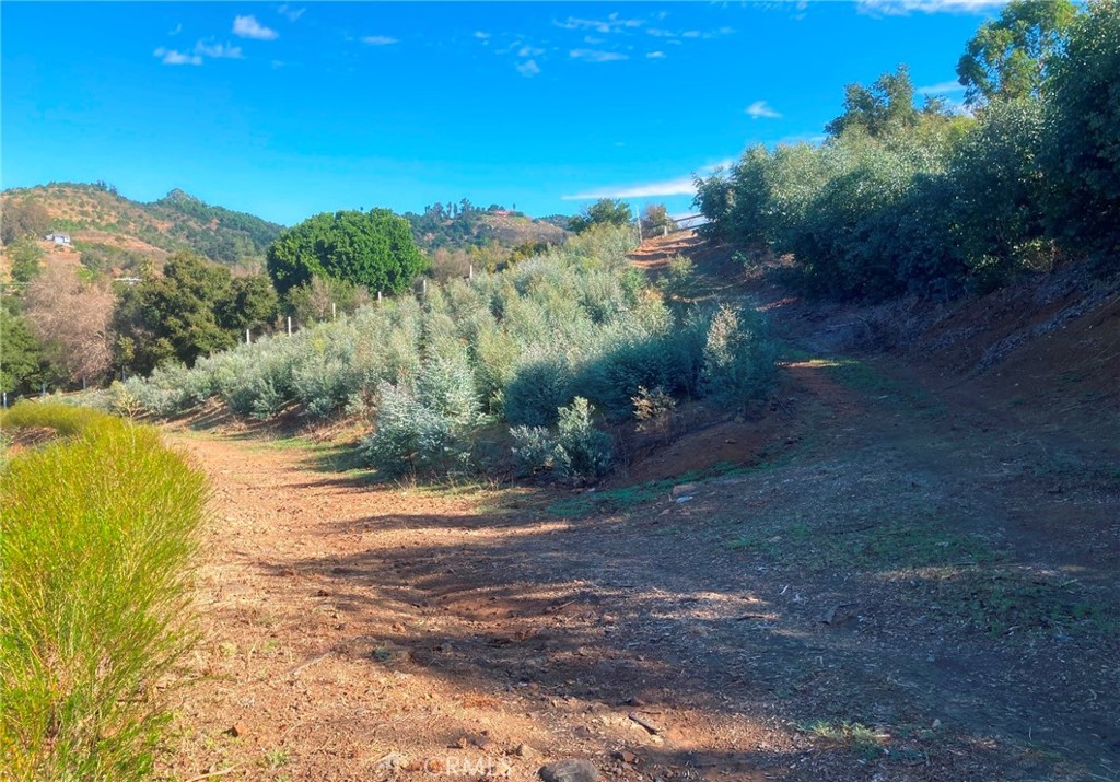 16 Sandia Creek Drive Property Photo 1