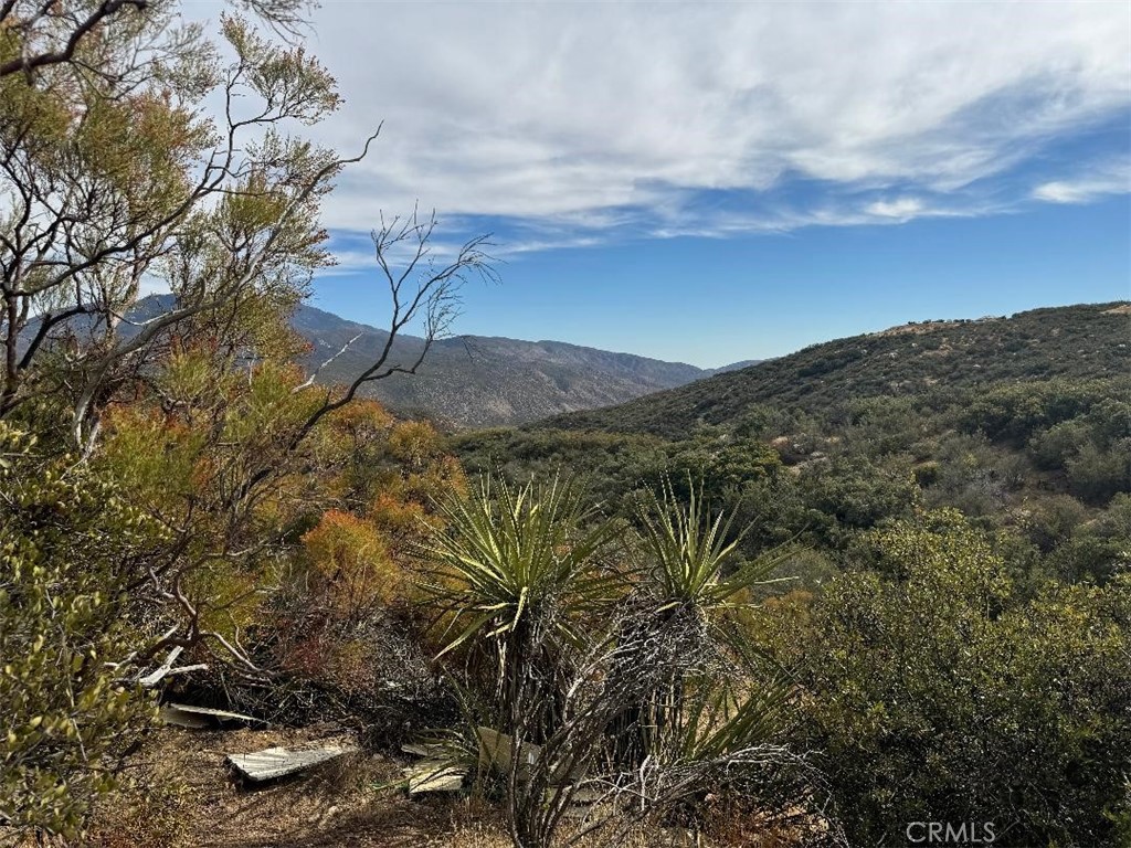 0 Table Mountain Truck Trail Property Photo 11