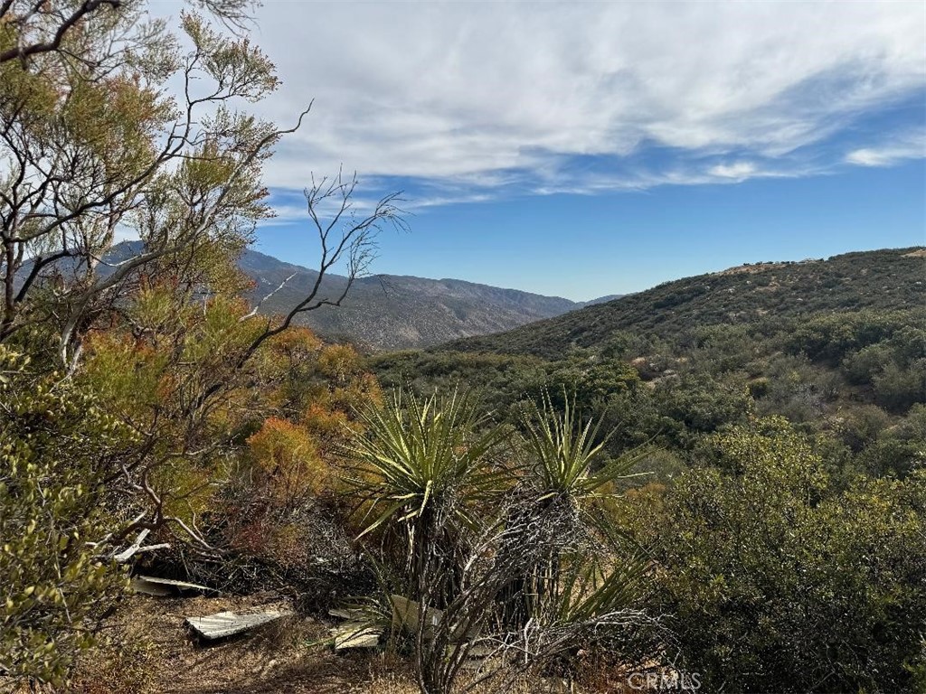 0 Table Mountain Truck Trail Property Photo 11