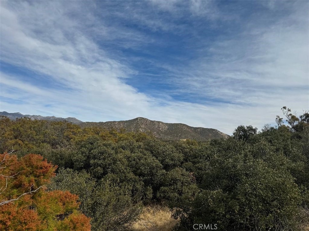 0 Table Mountain Truck Trail Property Photo 12