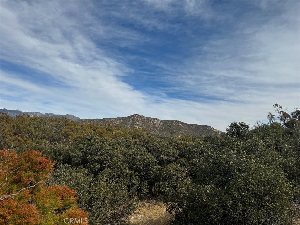 0 Table Mountain Truck Trail Property Photo 12