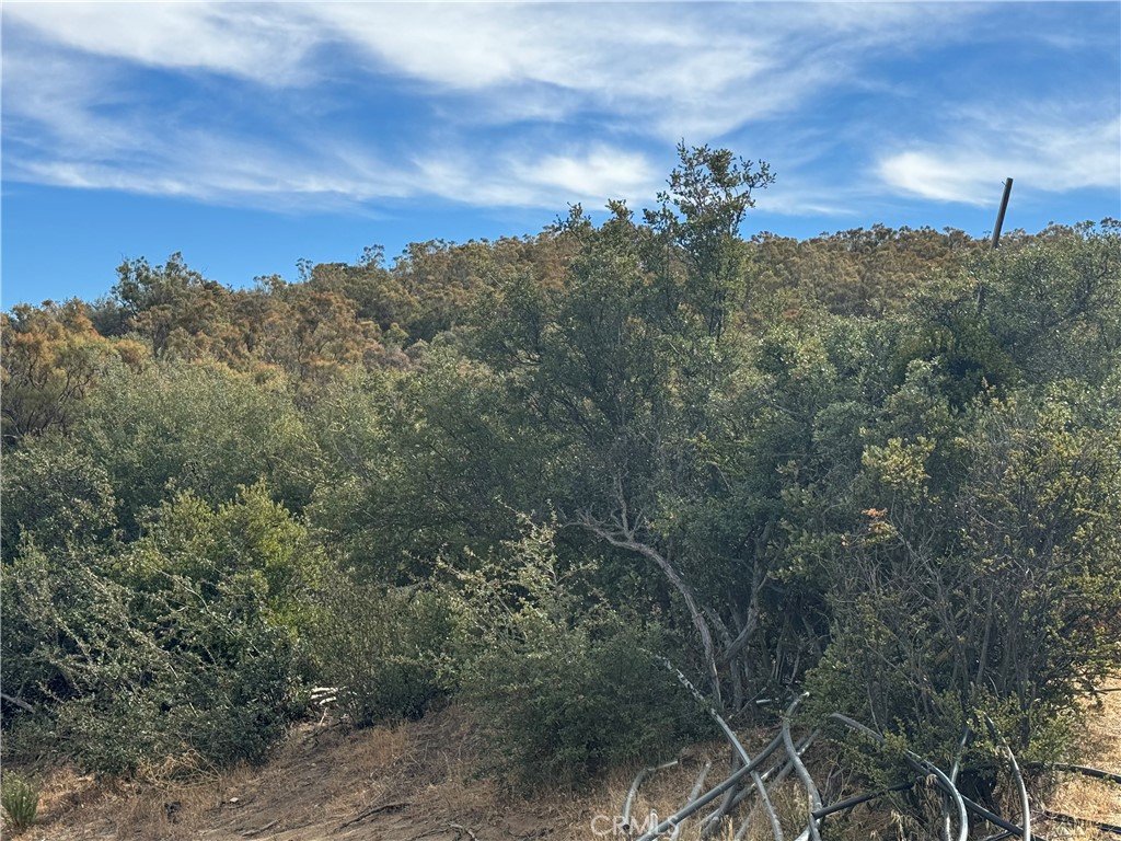 0 Table Mountain Truck Trail Property Photo 14