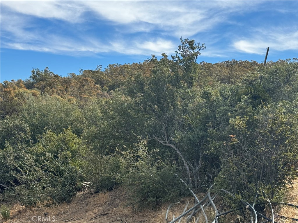 0 Table Mountain Truck Trail Property Photo 14