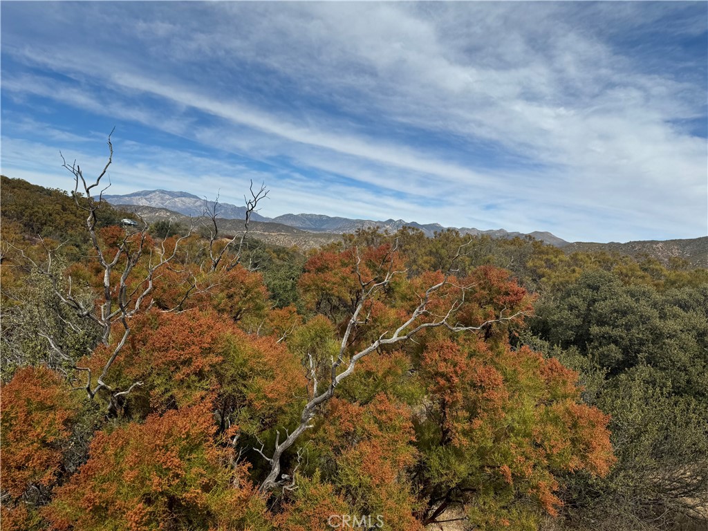 0 Table Mountain Truck Trail Property Photo 16