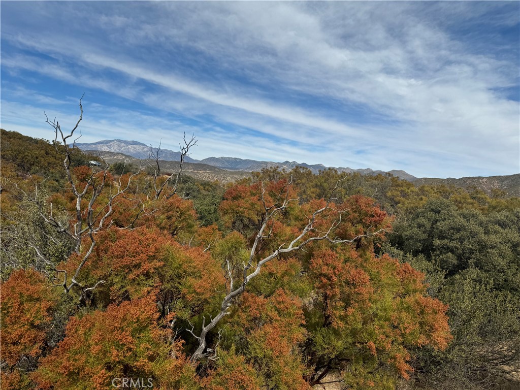 0 Table Mountain Truck Trail Property Photo 16