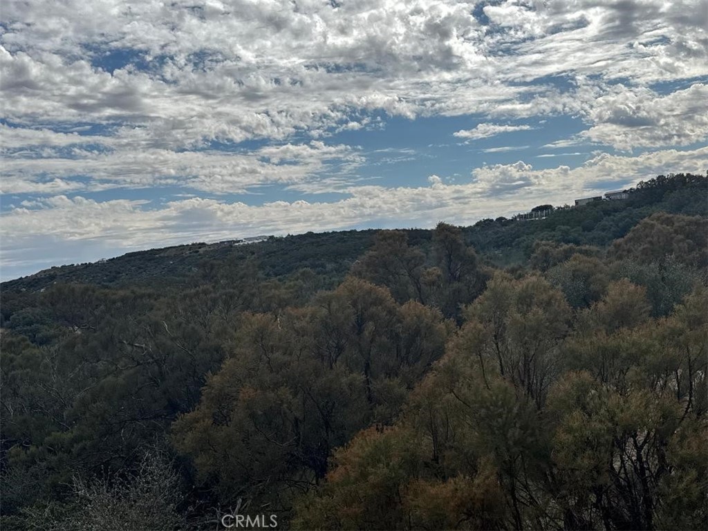 0 Table Mountain Truck Trail Property Photo 38