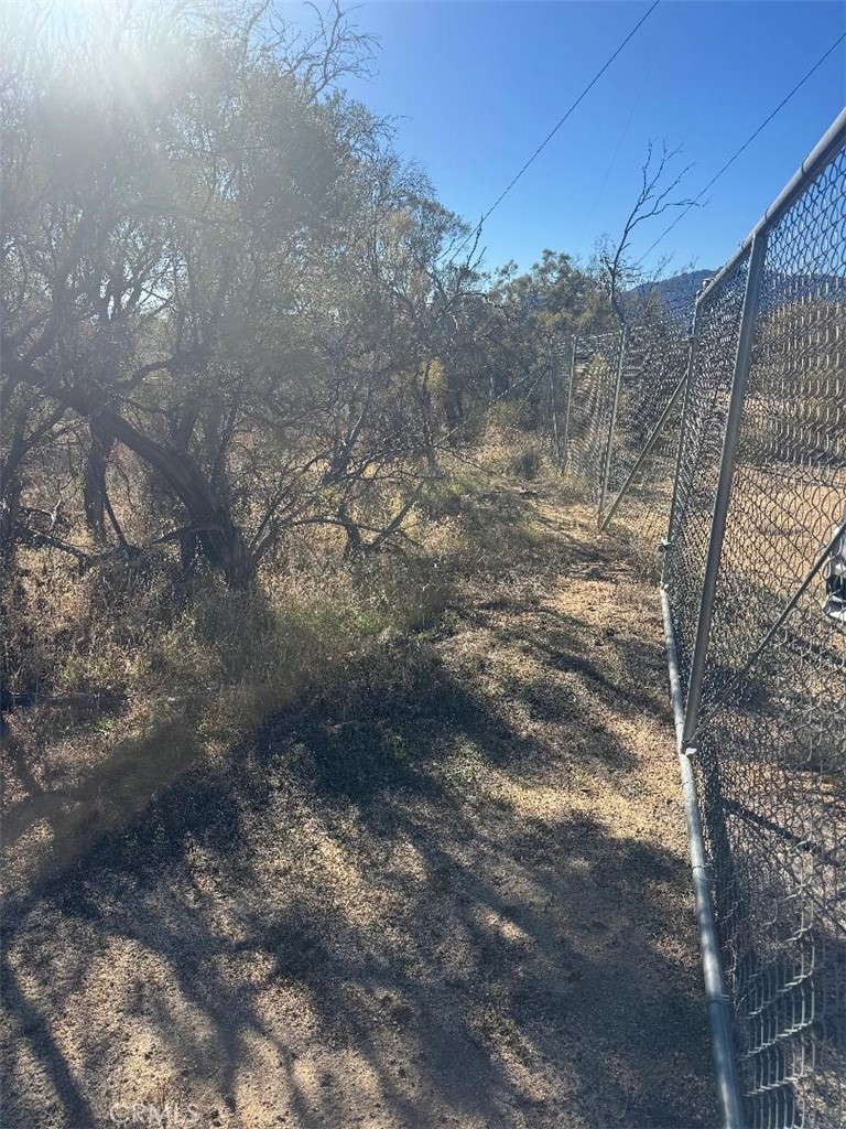 40570 Elm Brush Trail Property Photo 4