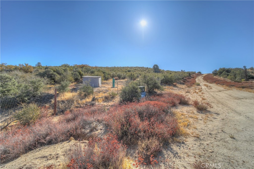 40570 Elm Brush Trail Property Photo 6