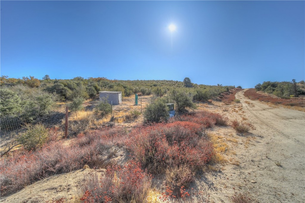 40570 Elm Brush Trail Property Photo 6